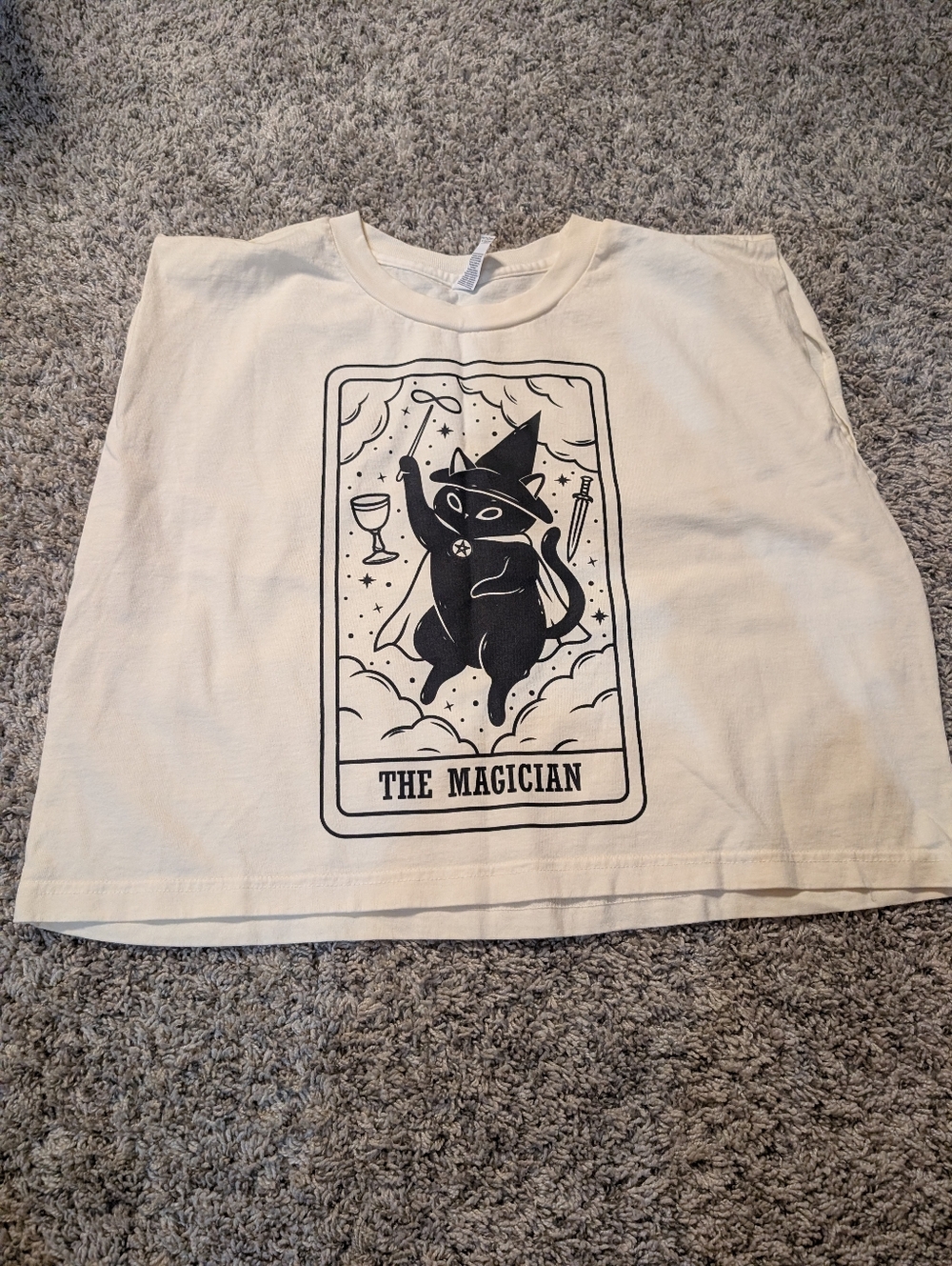 Boxy Cat Tee American Apparel